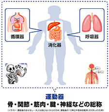 運動器